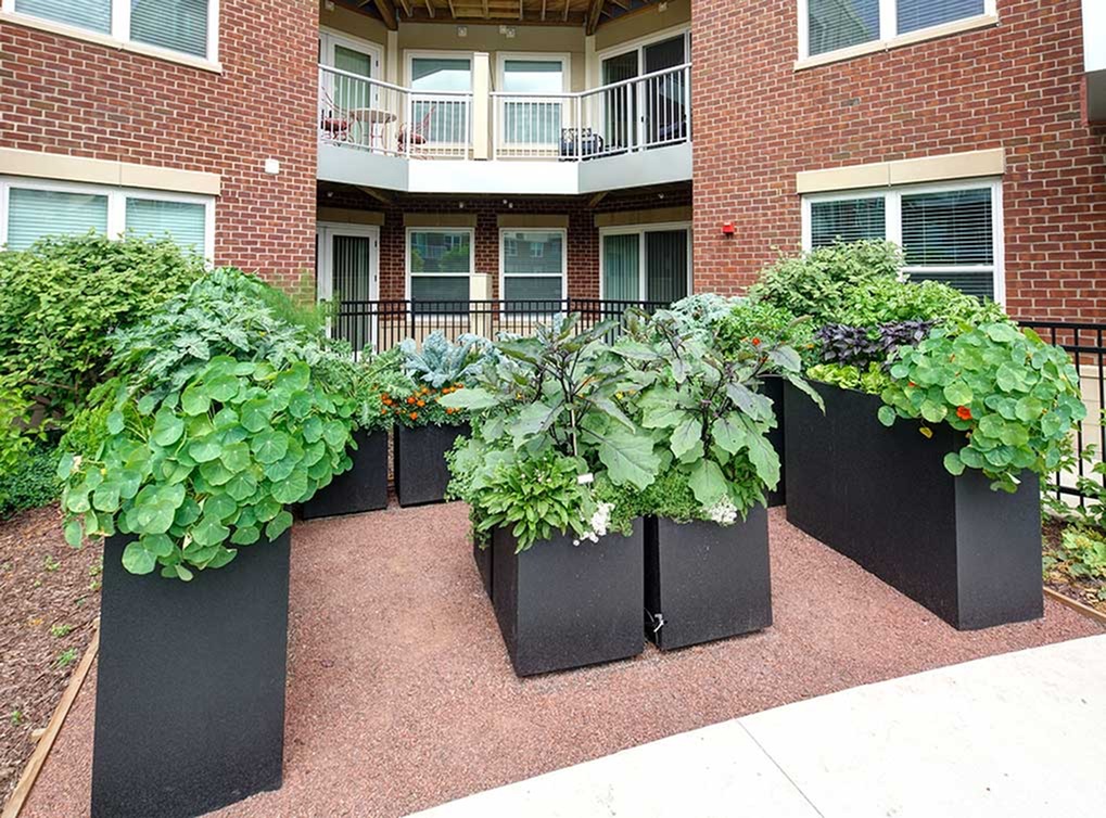 AMLI Deerfield Image 8