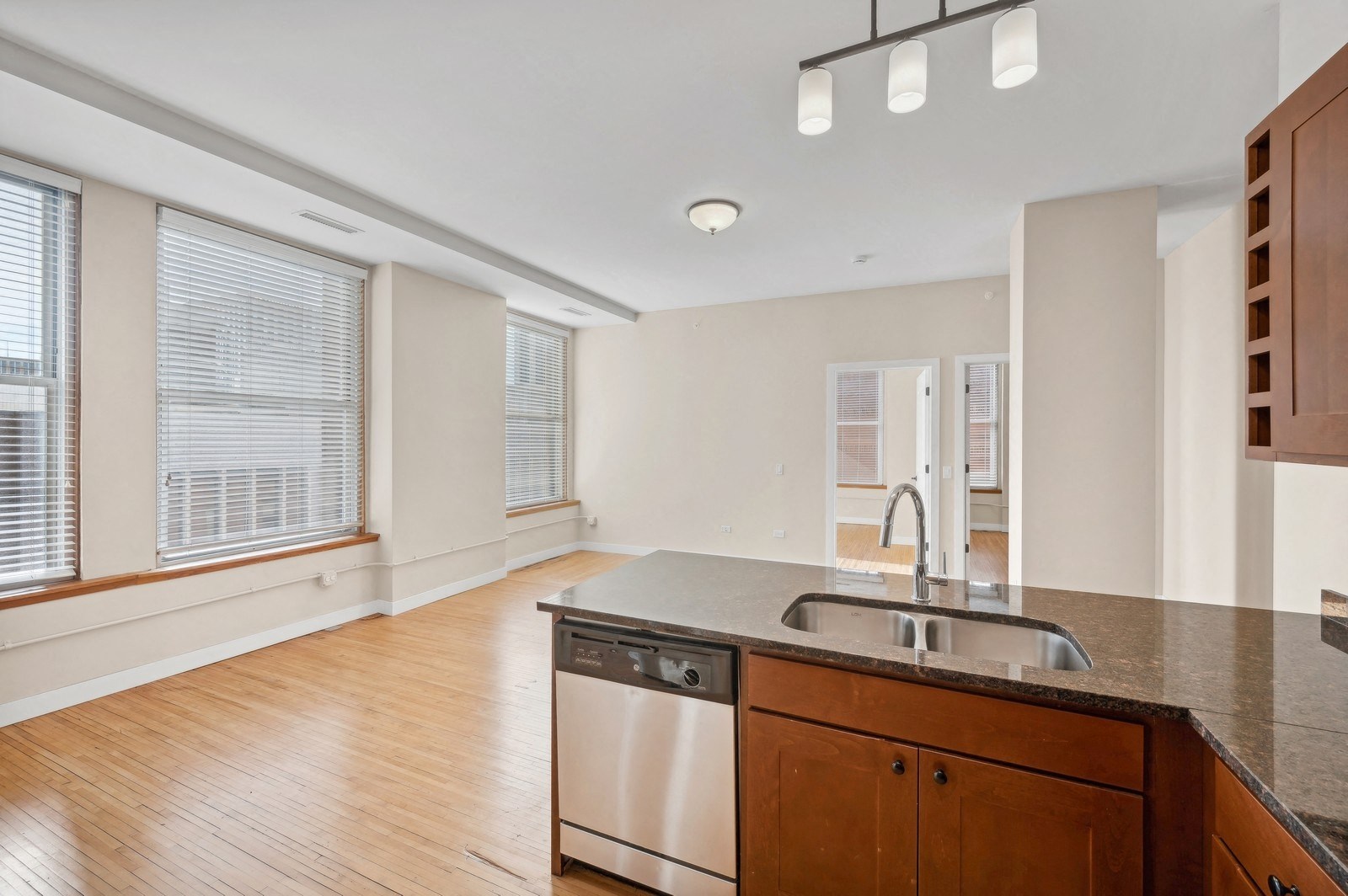 Pioneer Endicott Image 117