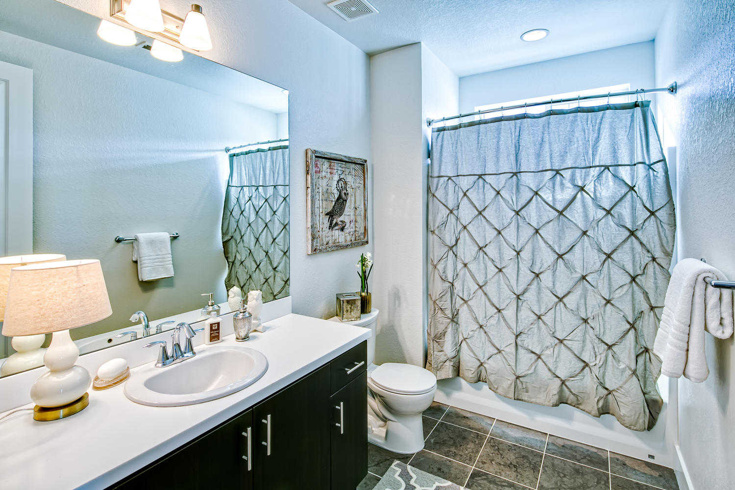 Platt Park Townhomes Image 11