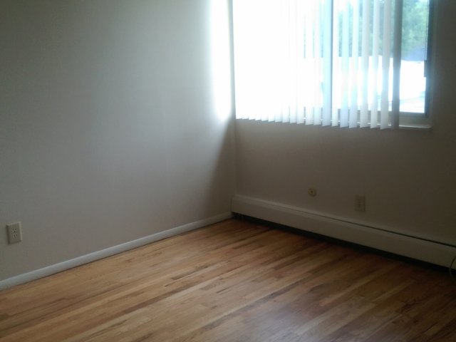 Beautiful Hard wood floors w/ plenty of natural light