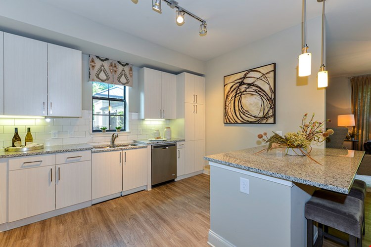 The Residences at Chastain Apartments Image 6