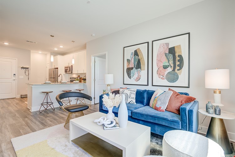 Constellation Image 8