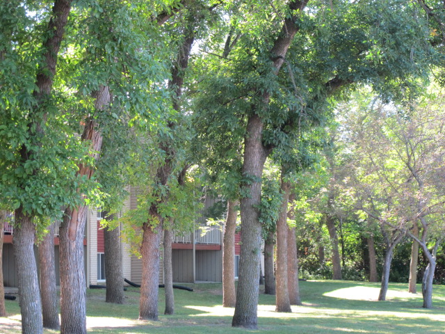 Johnson Parkway Image 3