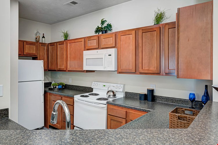 Autumn Chase Image 9