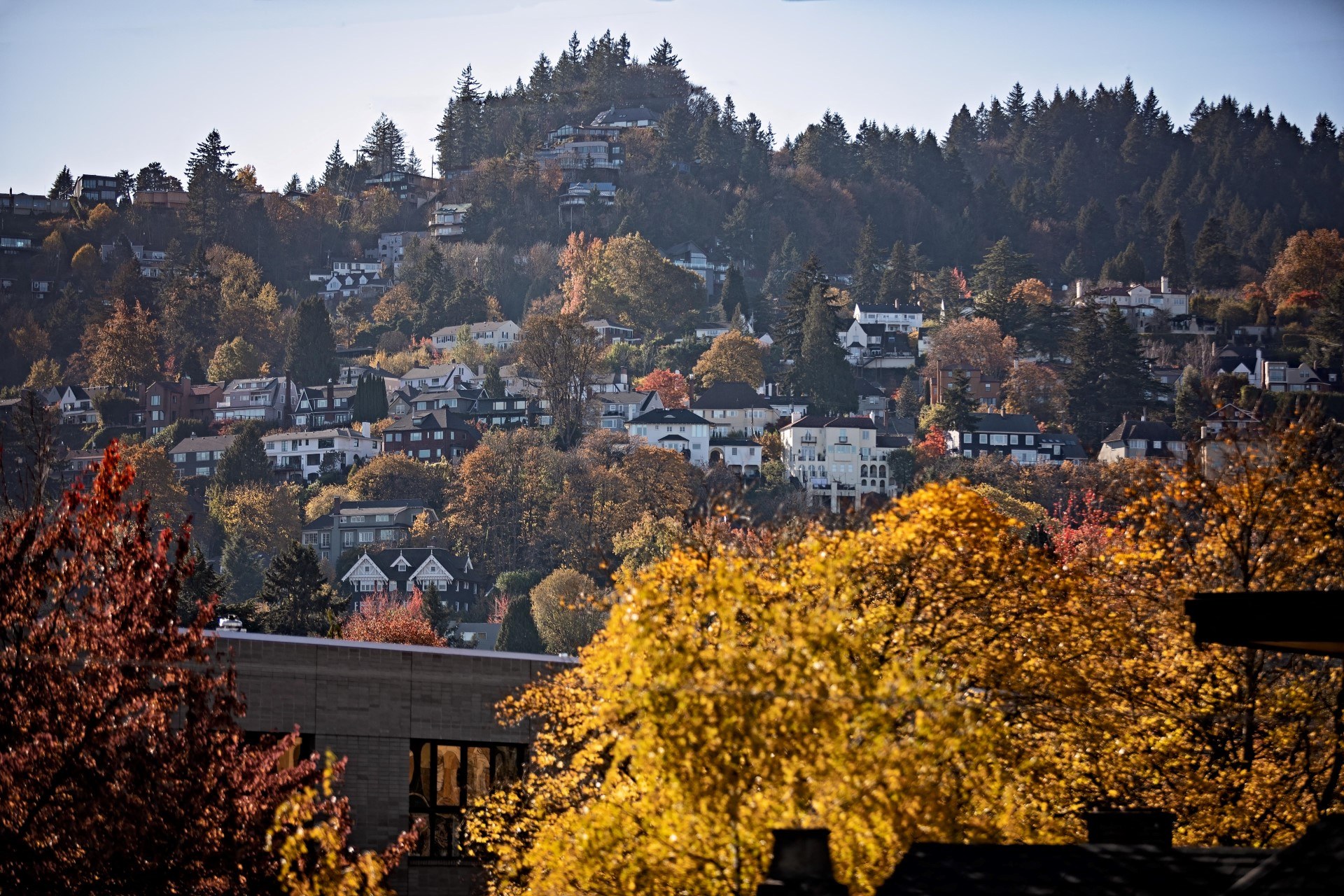 Iconic  Portland Views