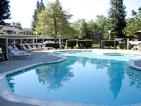 Sungarden Apartments and Duplexes Image 1