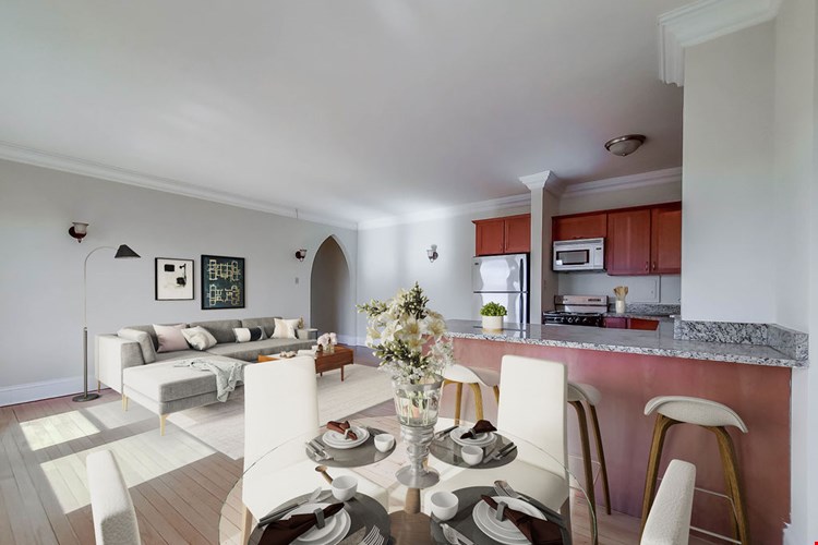 The Patricians Image 14