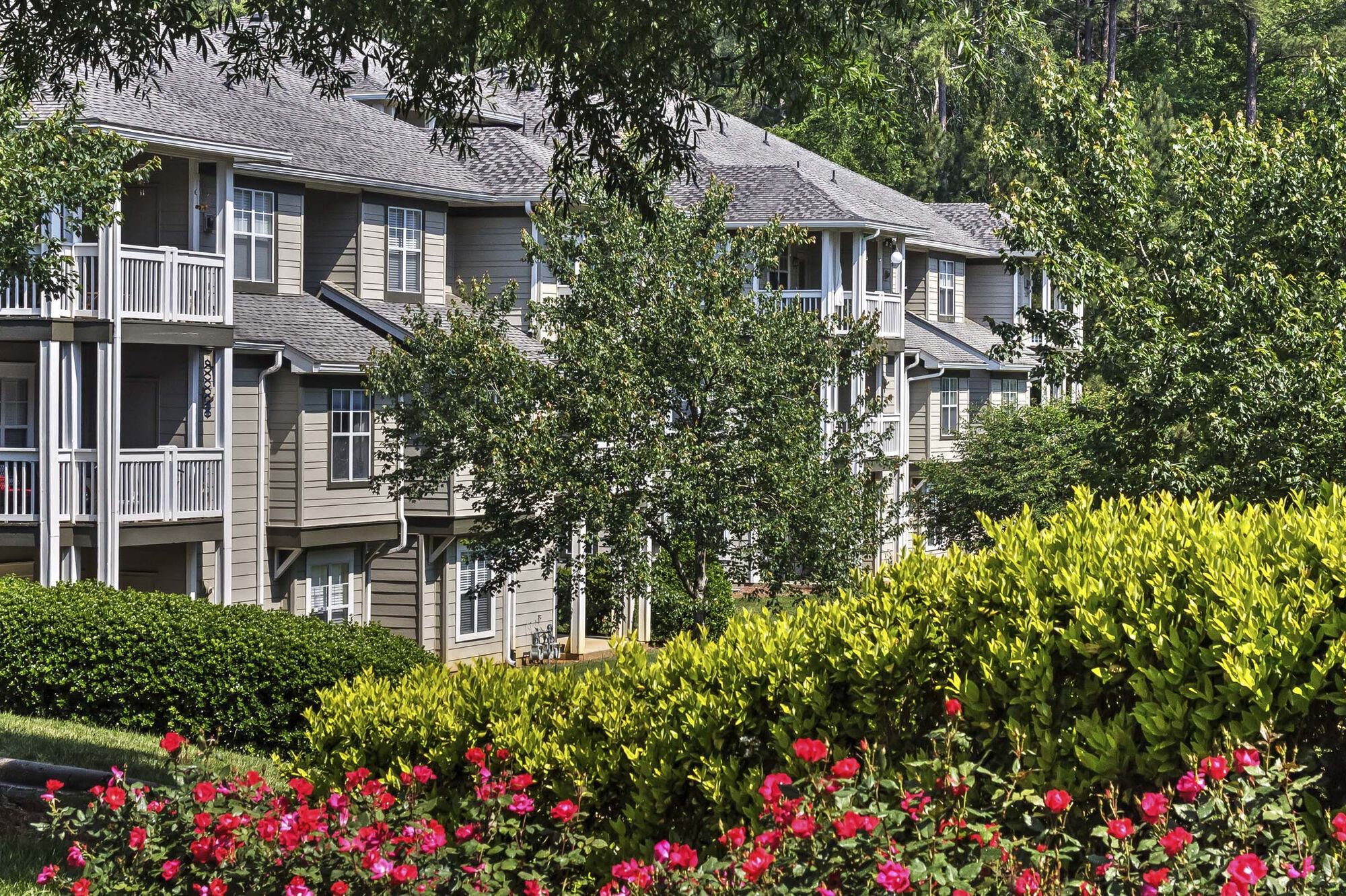 Camden Lake Pine Image 32