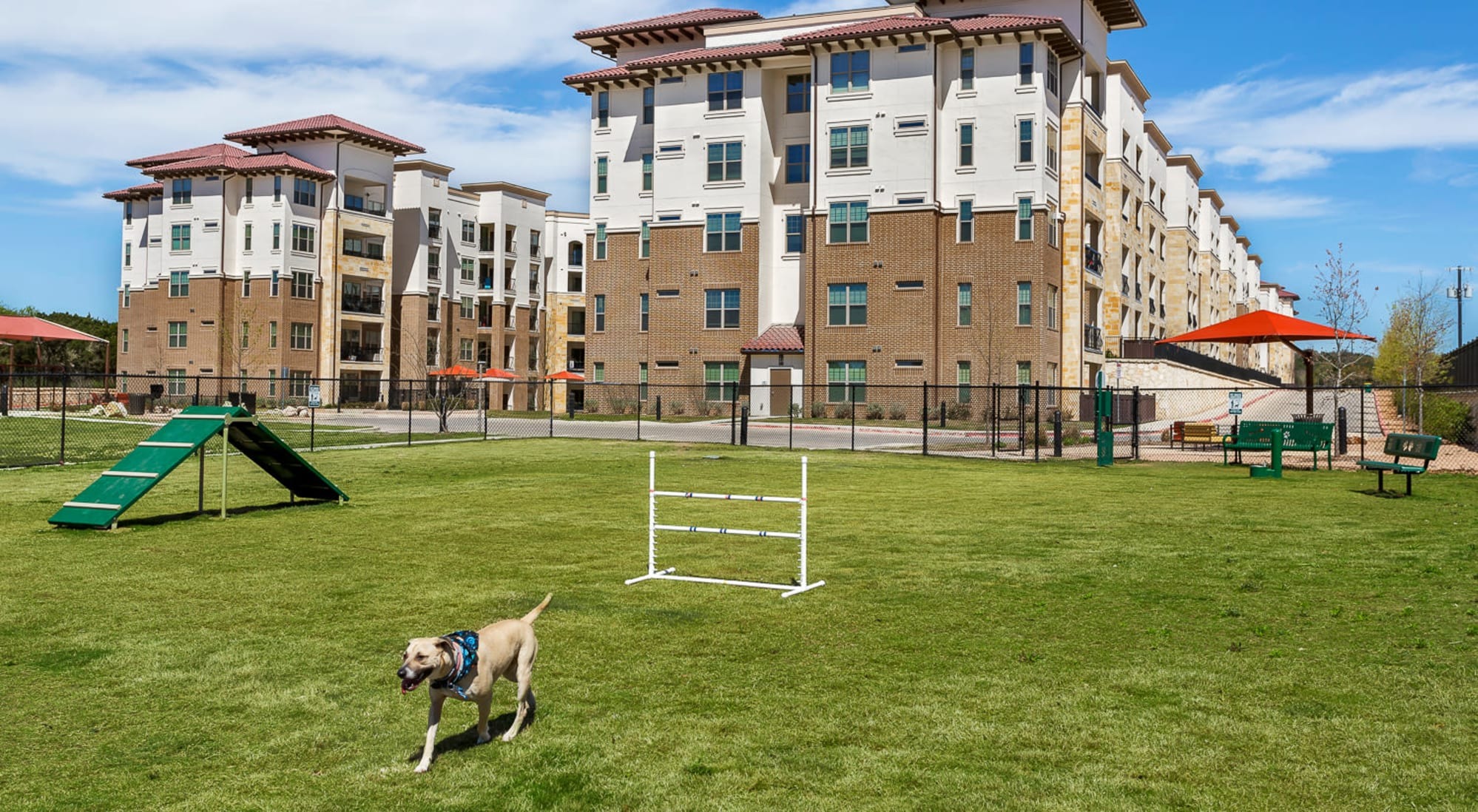Edge and Stone Apartments Image 7