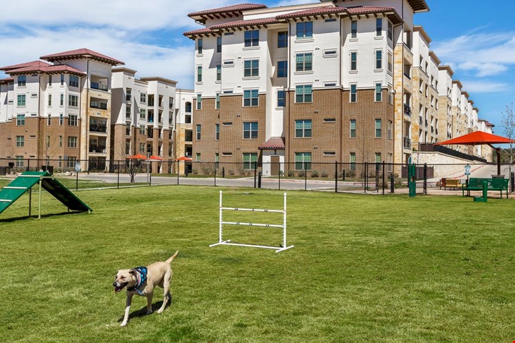 Edge and Stone Apartments Image 7