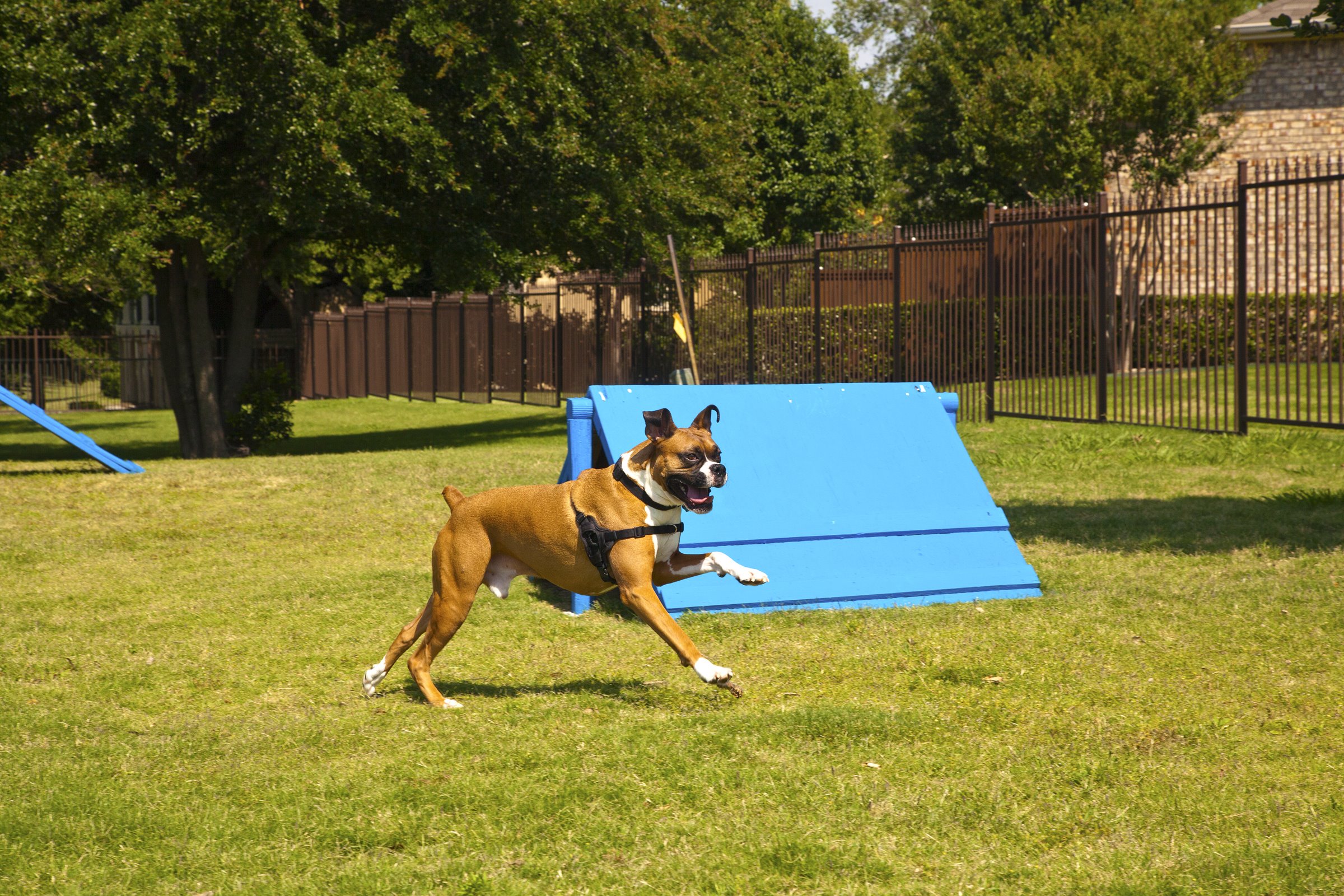 Estancia At Ridgeview Ranch Image 15