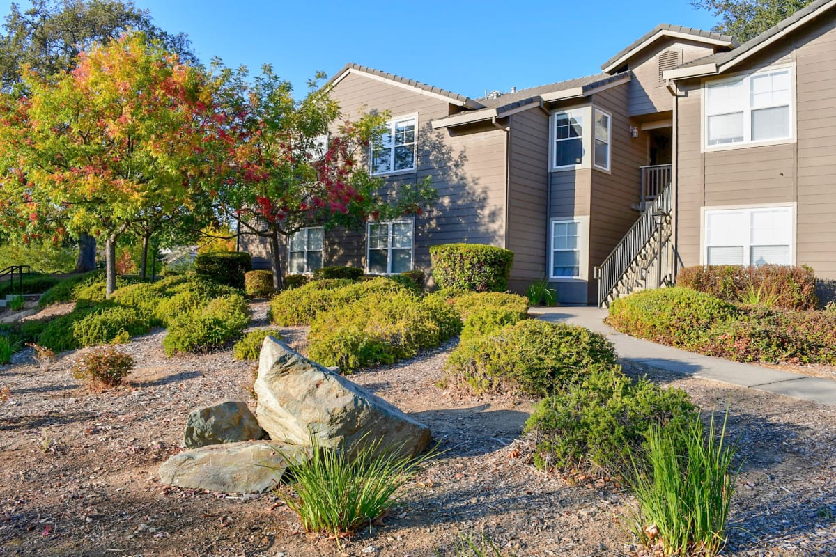 Lake Forest Apartments Image 4