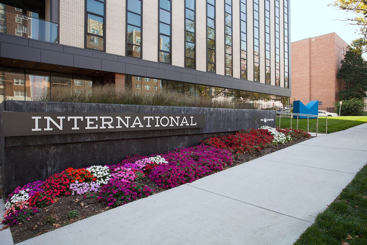 International Image 20