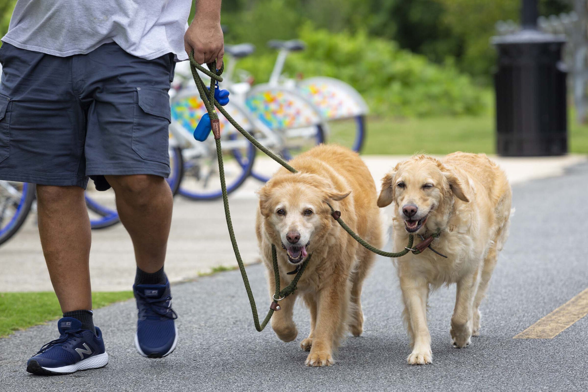 Camden Shiloh Image 26