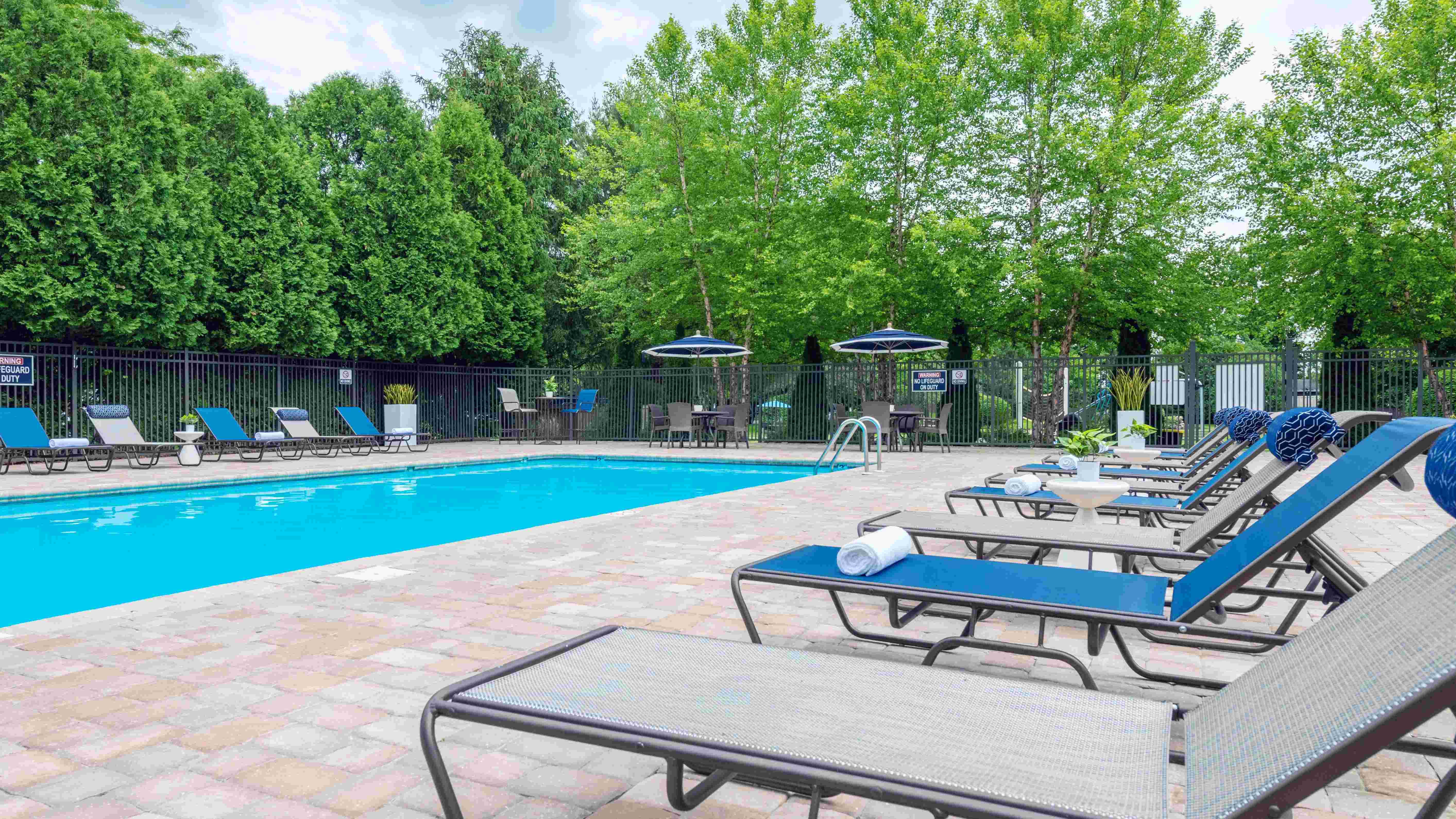 Experience pure joy with a refreshing swim in our sparkling pool and lounge under the sun. 