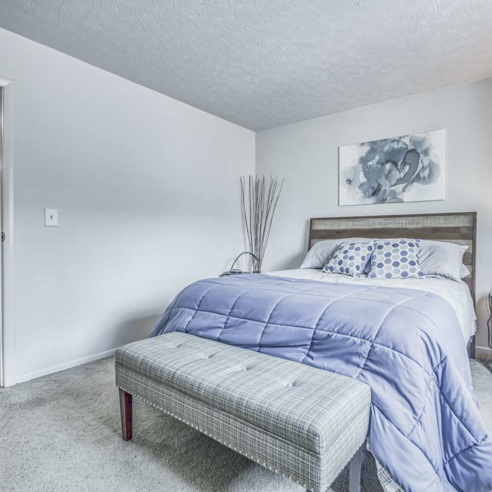 Timber Trails Image 15