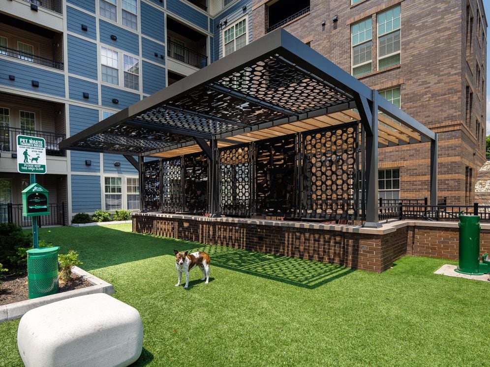 North Building WAG Pet Park