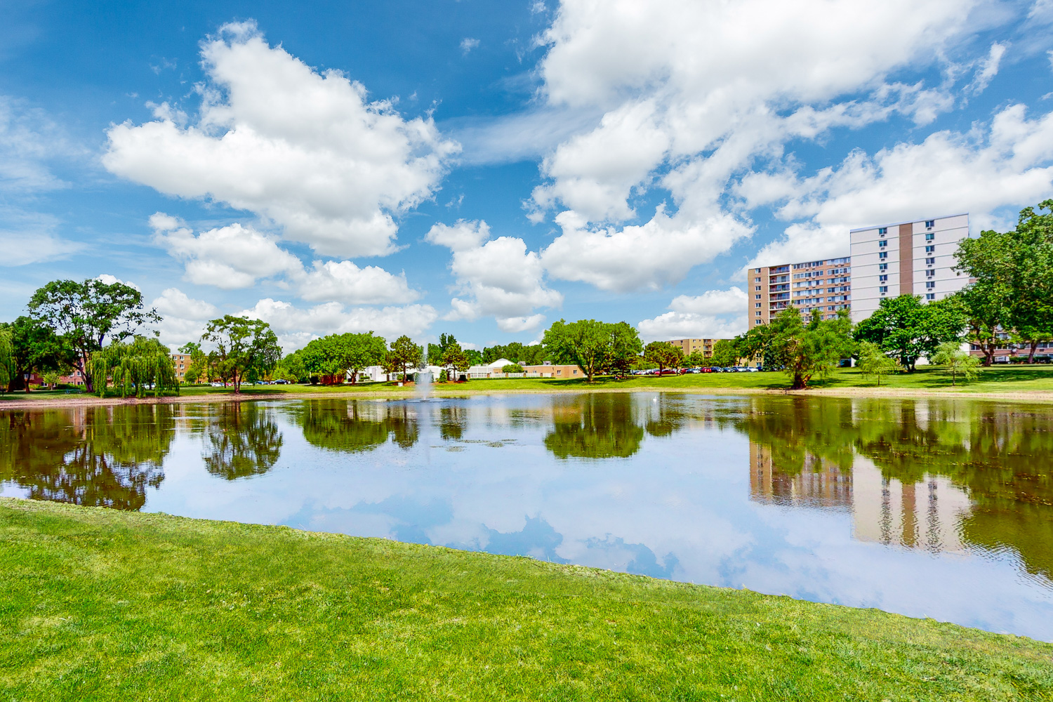 Village in the Park Image 3