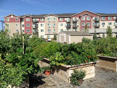 Affinity at Southridge Image 4