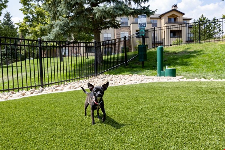 Camden Denver West Image 22