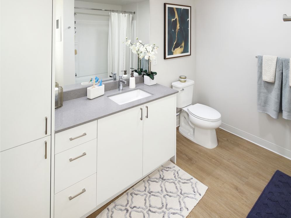 Phase II - Scheme C Bath with white cabinetry, grey quartz stone countertop, and hard surface flooring