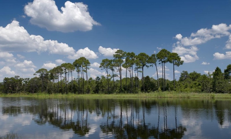 The Preserve at Henderson Beach Image 12