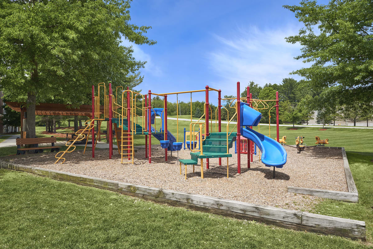 Hampshire Green Image 8