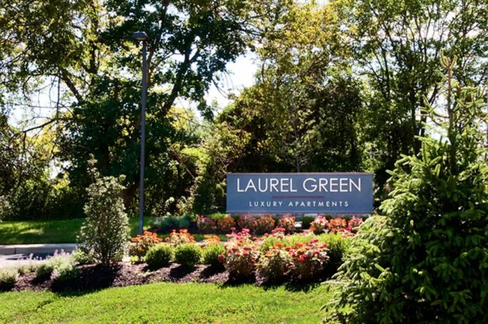 Laurel Green Image 2