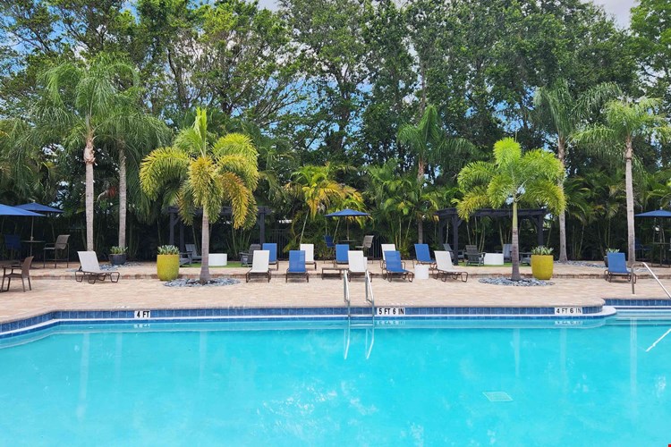 Immerse yourself in a pool of tranquility where relaxation and enjoyment go hand in hand.