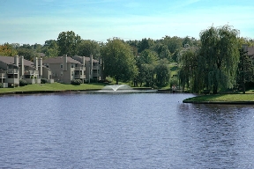 Lago Vista Apartments Image 18