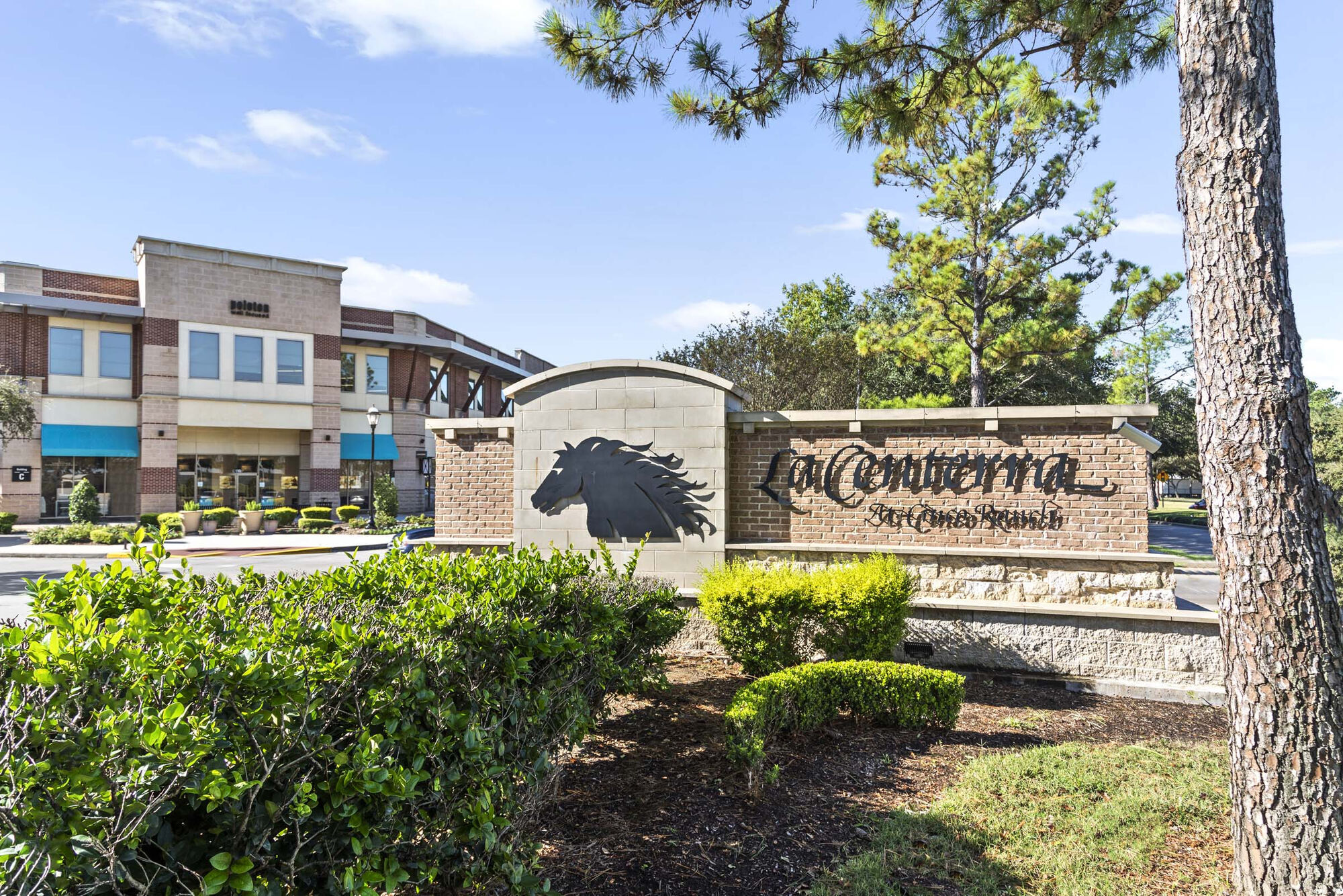 Camden Long Meadow Farms Image 39