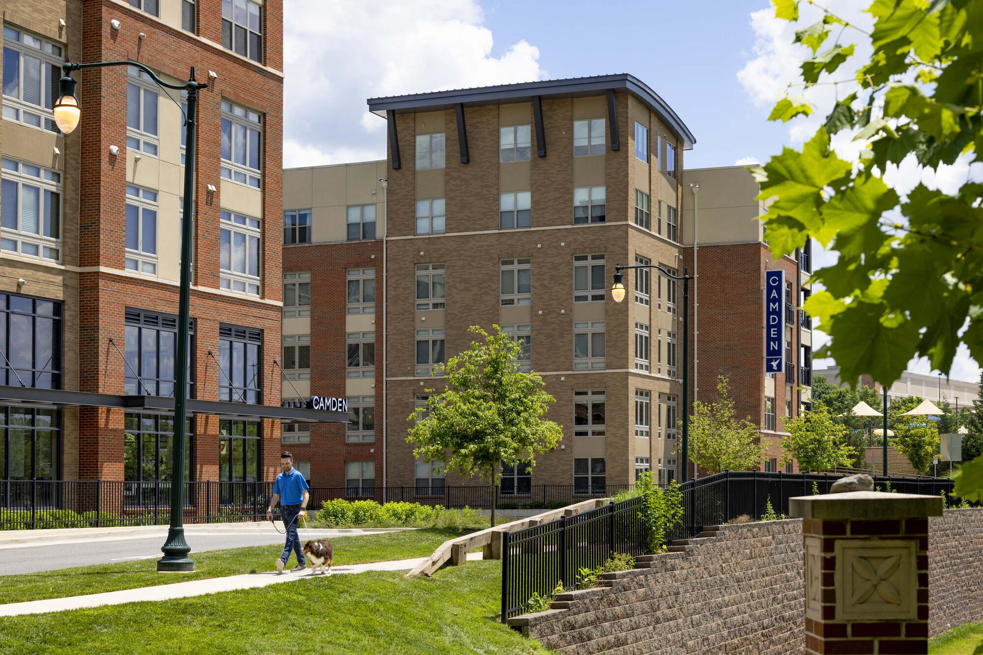 Camden Washingtonian Image 31