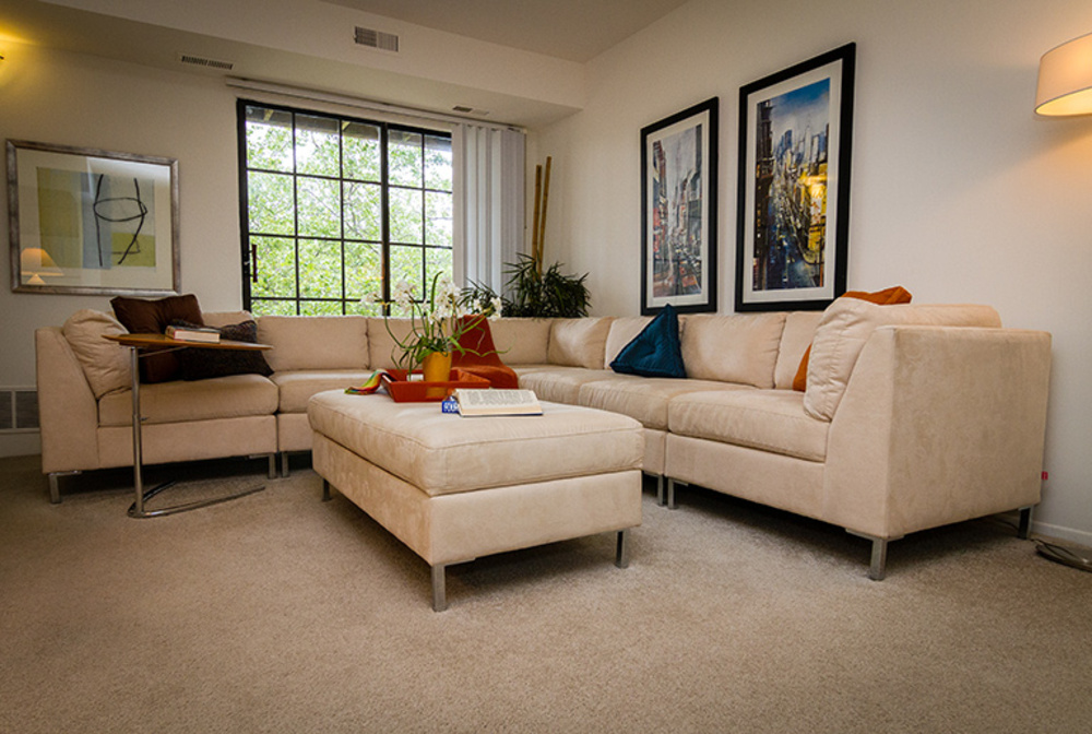 Saddle Creek Image 9