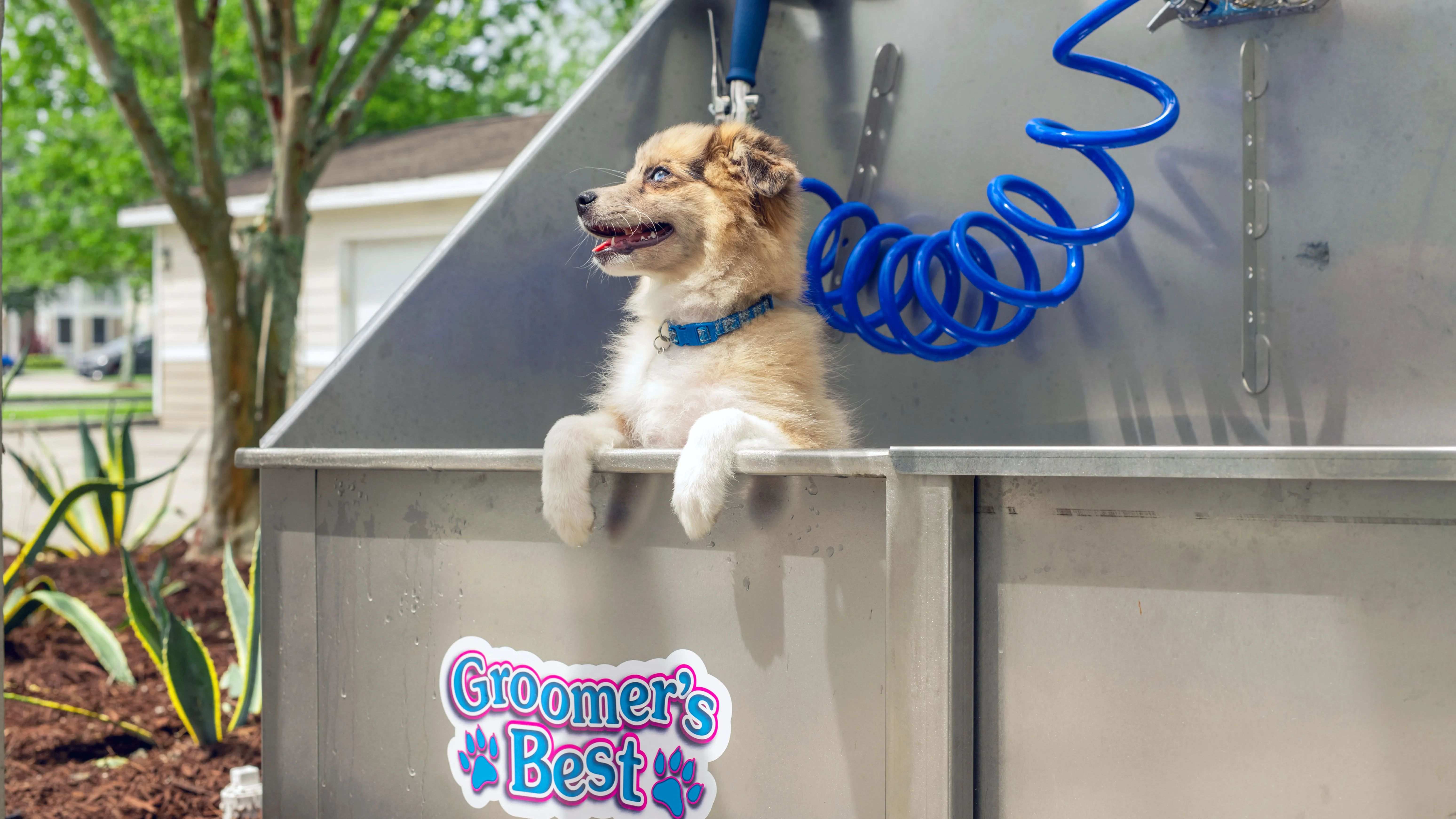 We love your pets and love making it easy for you to care for them, so bring them to the Paw-Spa – an on-site dog wash station where you can get your pup feeling their best - fresh and clean.
