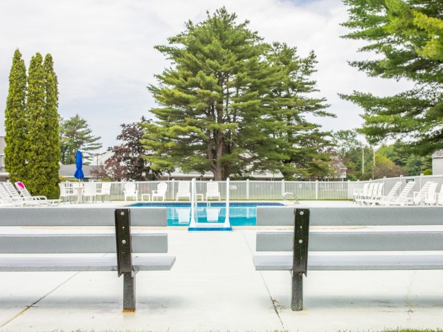 Large Swimming Pool