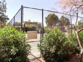 Orange Tree Village Image 10