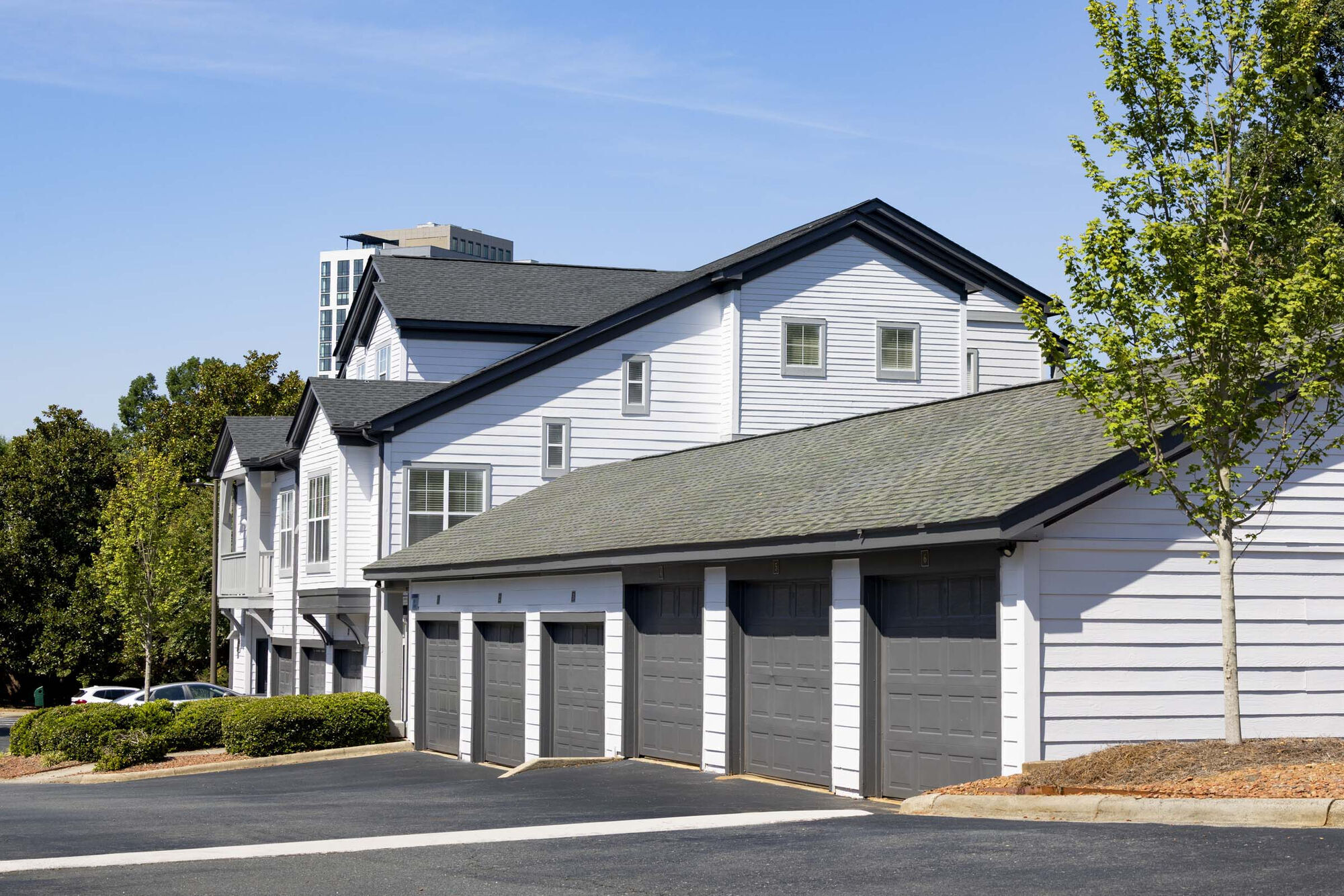 Camden Ballantyne Image 31