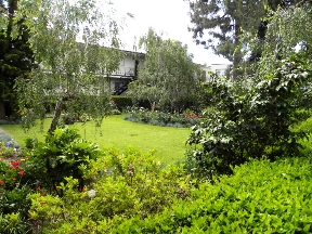 The Continental Arcadia Image 6