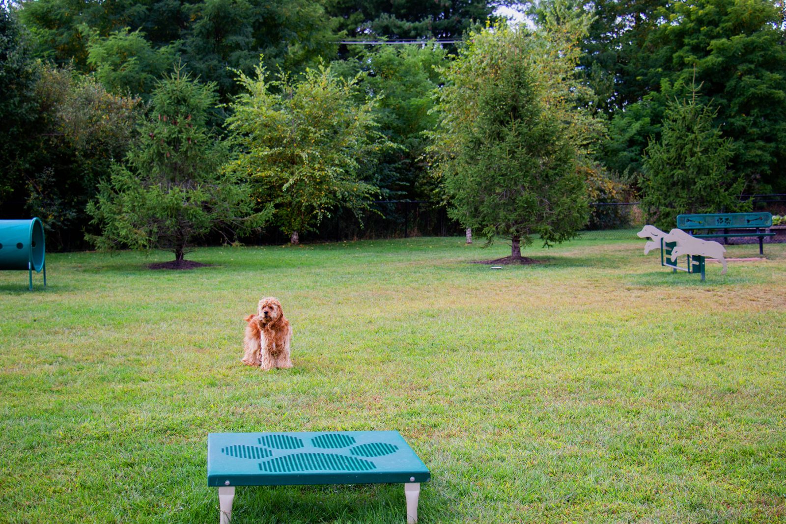 Bridgewater Apartments Image 3