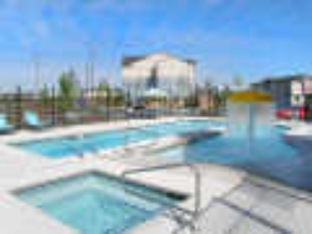 Tarmigan at Wapato Creek Image 5