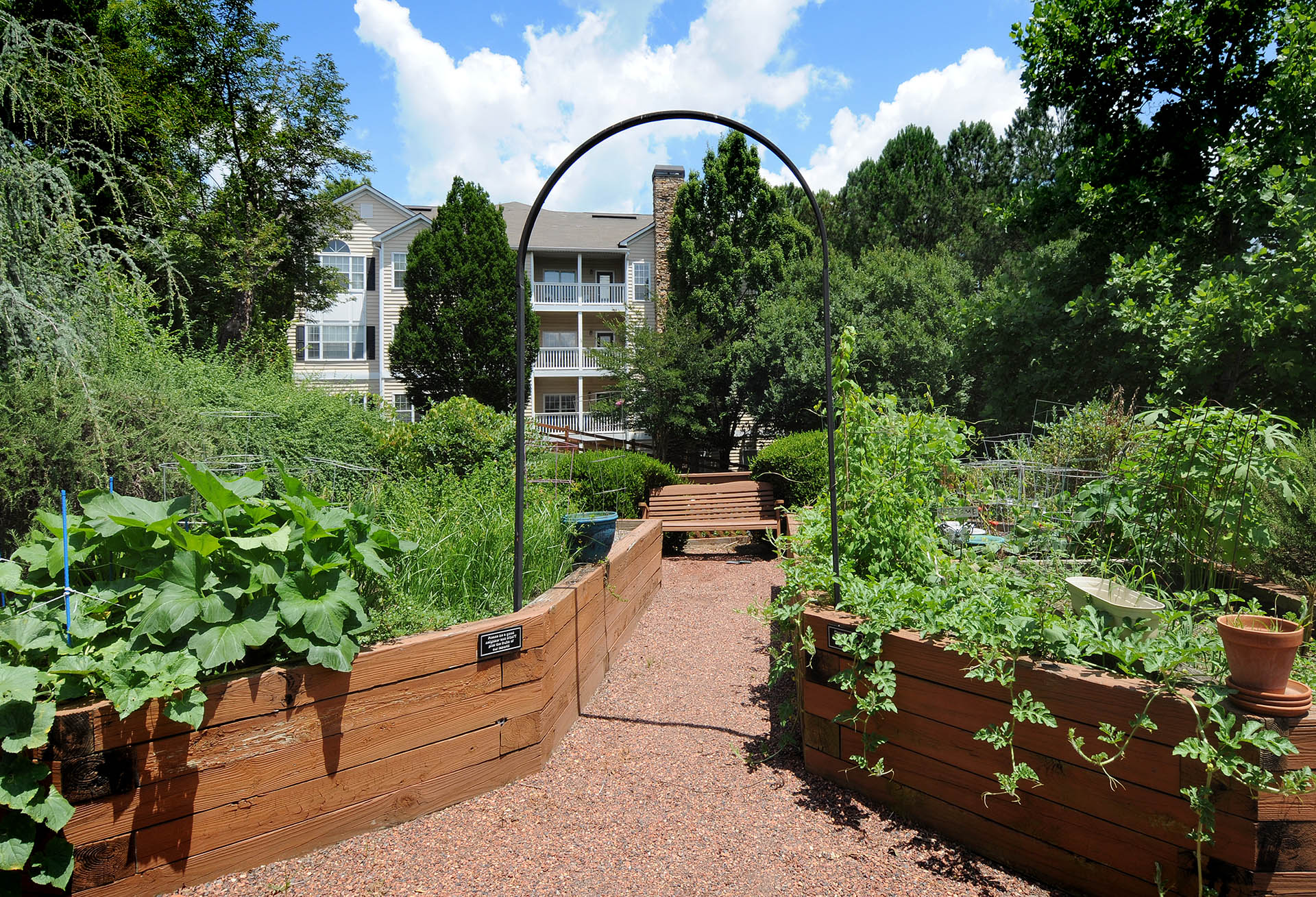 Urban Vegetable Garden