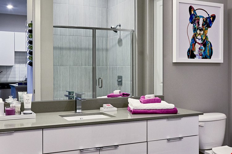 Selene at Southline Apartments Image 5