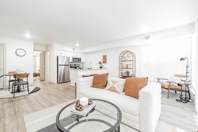 The Campbell Image 8