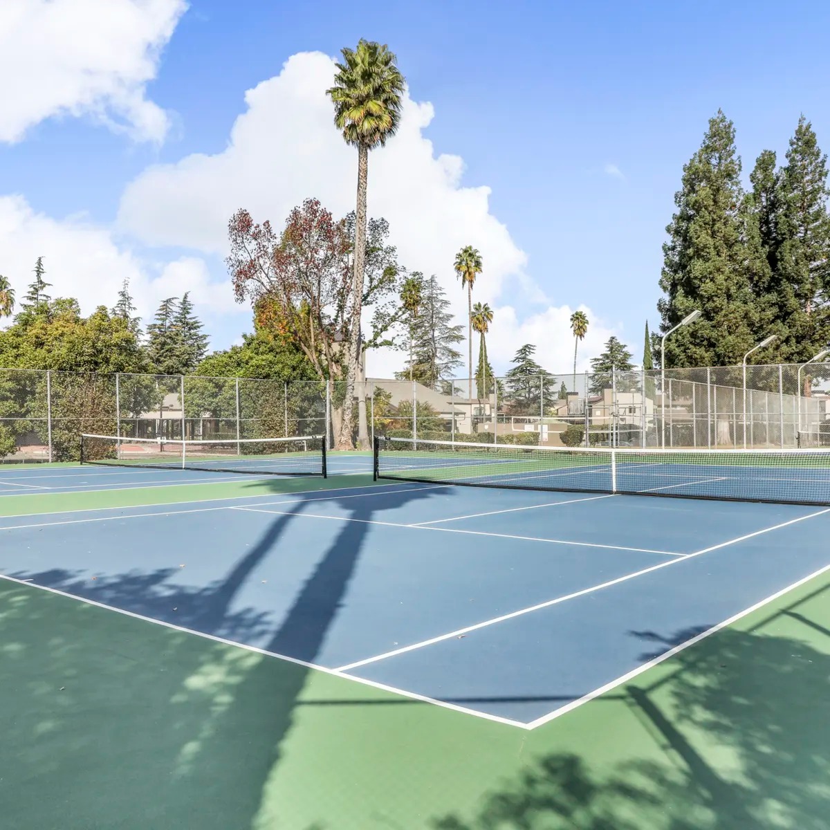 Venetian Bridges Image 6