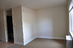 Alborz Studios Image 9