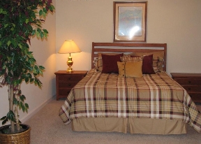 Willow Oaks Apartments Image 6