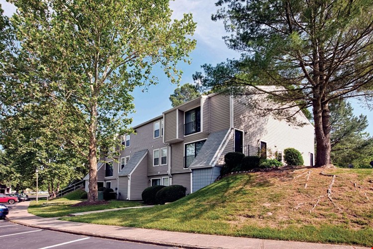 Woods of Williamsburg Image 8