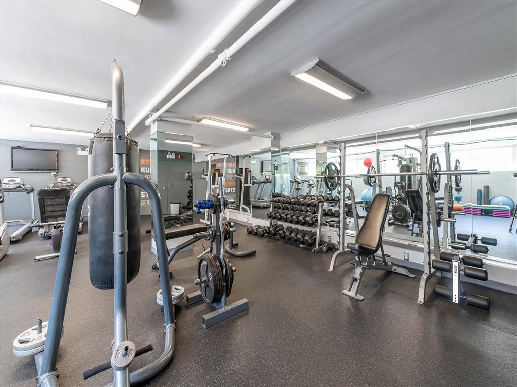 The Van Der Rohe Image 5