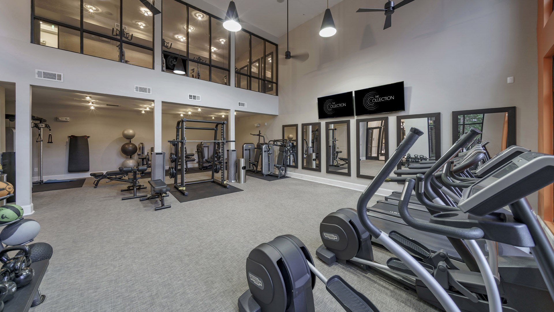 The Collection Image 3