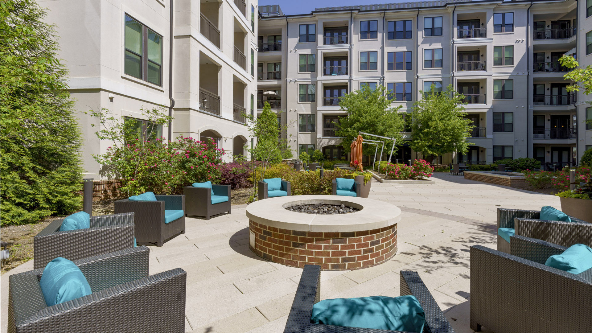 The Collection Image 27